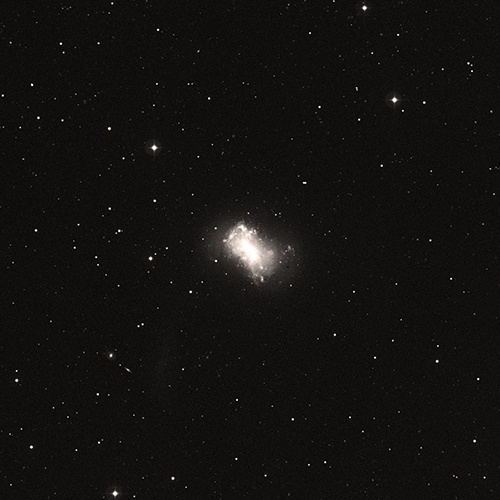 NGC 4449 NGC4449
