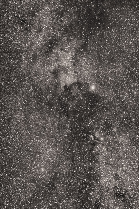 NGC 7000 Nebelregion N7000 komplex
