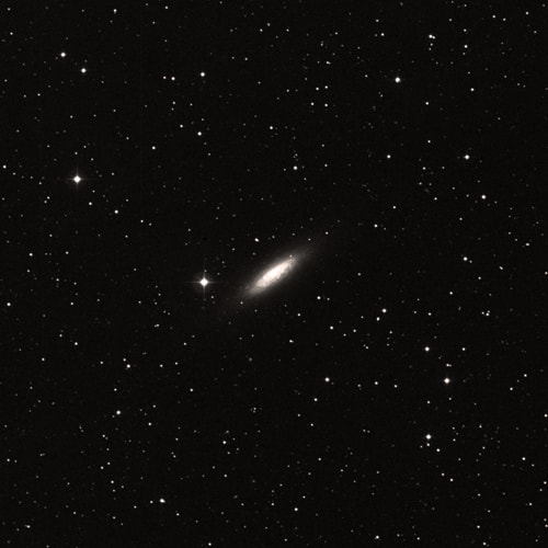 NGC6503